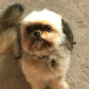 Meet your Posher, Maria